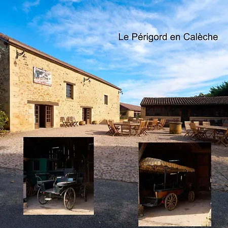 Gospodarstwo wiejskie Maison Tiny Bwa *