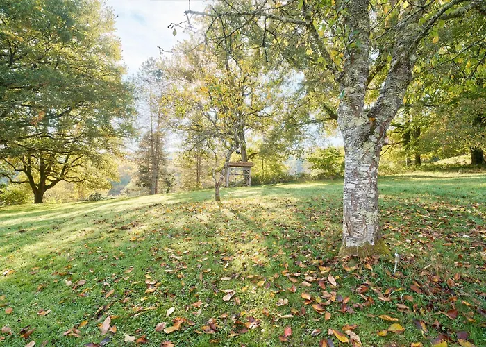 Maison Tiny Bwa Casa di campagna